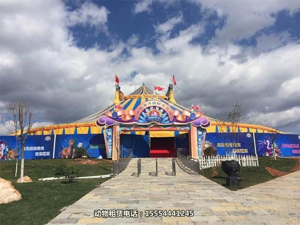 廣東省佛山誠(chéng)信互利當(dāng)?shù)啬某鲎怦R戲團(tuán)表演